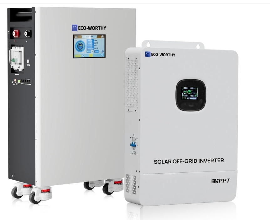 ECO-WORTHY Sistema de Almacenamiento de Energía LiFePO4 de 48V 314Ah