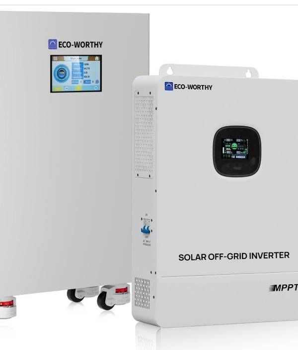 ECO-WORTHY Sistema de Almacenamiento de Energía LiFePO4 de 48V 314Ah 