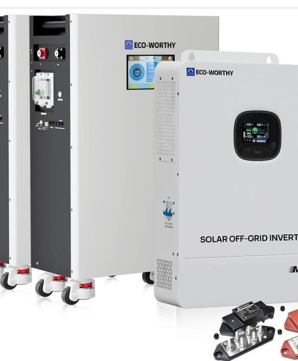ECO-WORTHY Sistema de almacenamiento de energía LiFePO4 de 48 V 314 Ah (2 unidades) (V1) con inversor solar de 10 kW